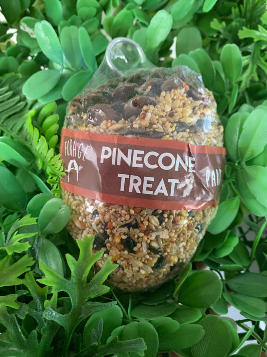 Pine Cone Treat Parrot - Large