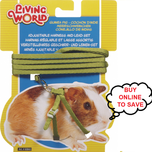 Adjustable Guinea Pig Harness and Lead Set