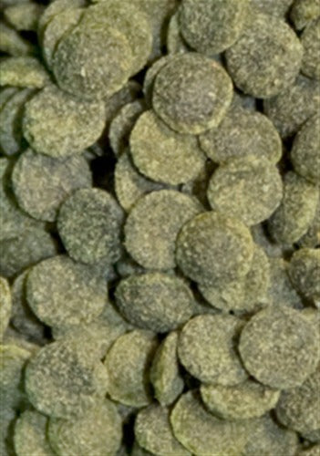 ocean nutrition shrimp wafers example