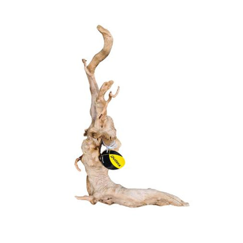 Tweety Wood - Nano