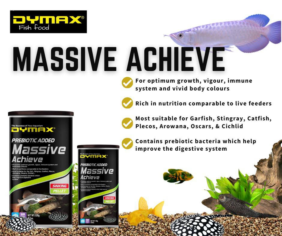 Massive Achieve1.2kg / 4ltr Sinking Pellet