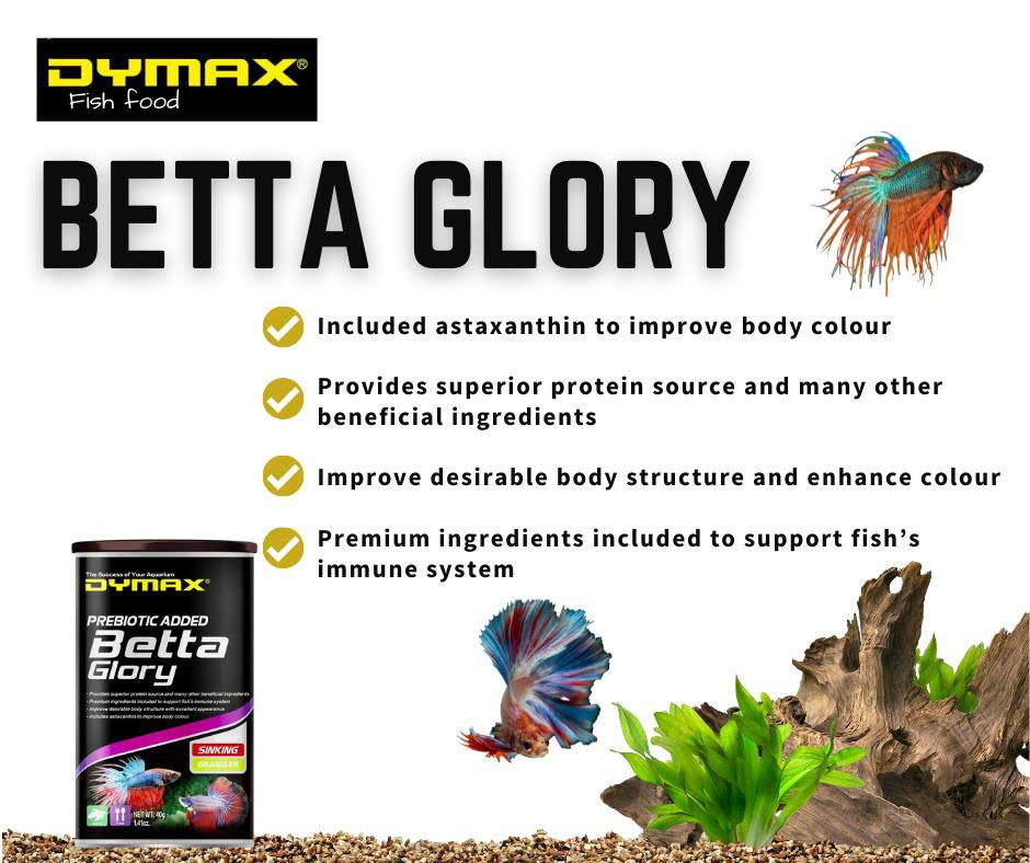 Dymax Betta Glory 10g Sinking Granules